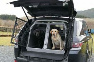 TRANSK9 Double Dog Transit Crate/Cage