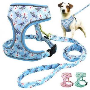 Floral Mesh Dog Harness and Leash set for Small Medium Large Dogs Walking Vest